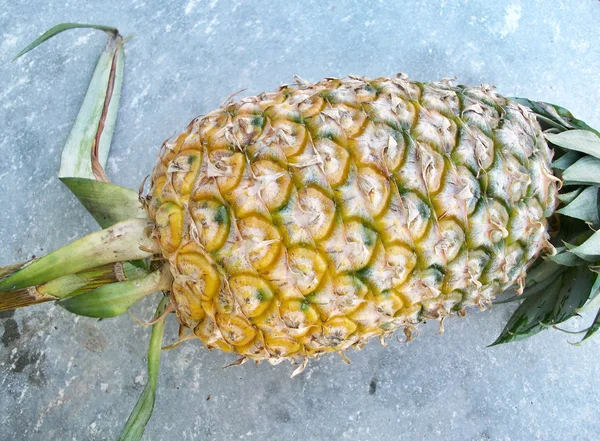 Pineapple — Stock Photo, Image