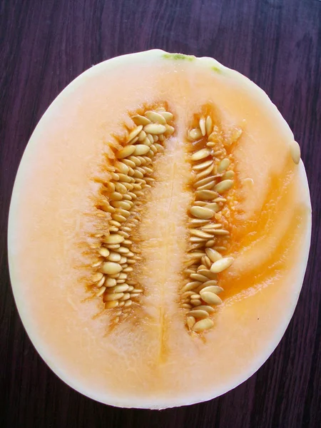 Meloni — kuvapankkivalokuva