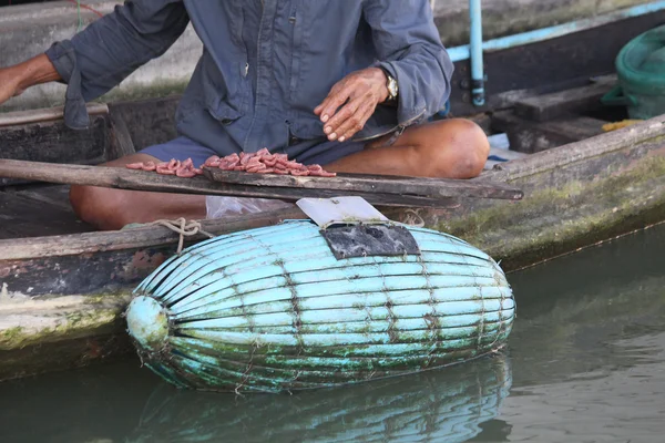 Pescatore — Foto Stock