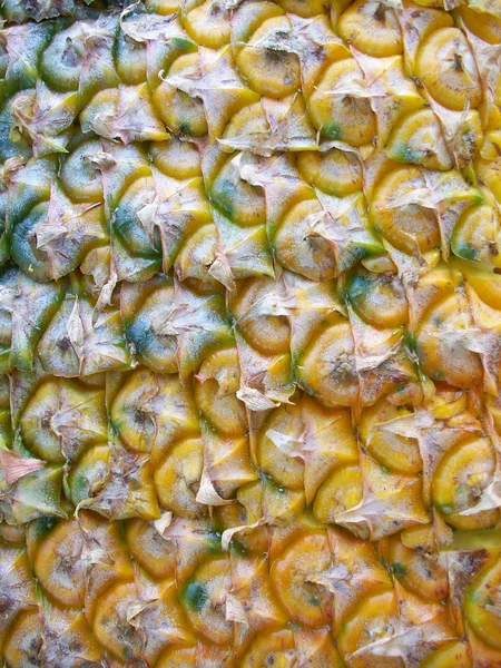 Ananas skóry — Zdjęcie stockowe