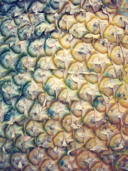 Ananas skóry — Zdjęcie stockowe