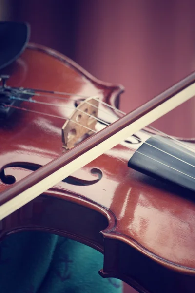 Violin — Stock Photo, Image