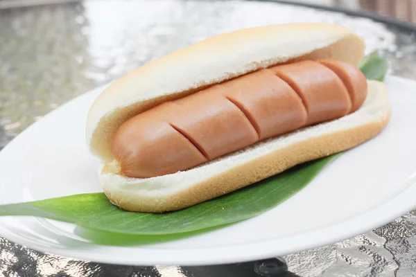 Restauration rapide hot dog — Photo