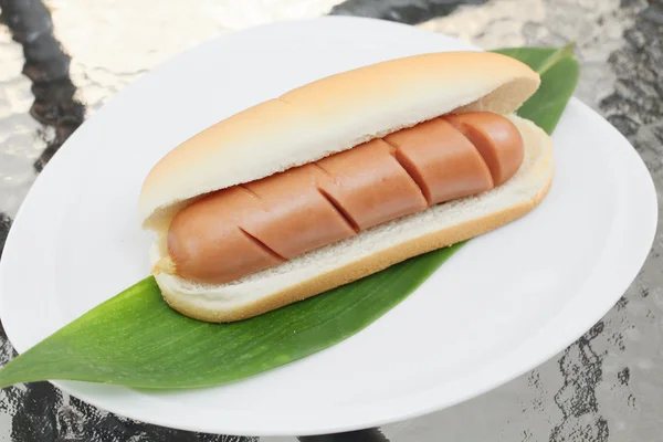 Rychlé občerstvení hot dog — Stock fotografie