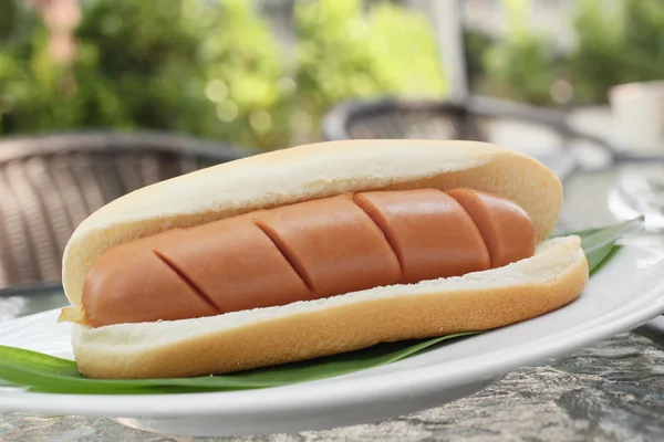 Hot dog fast food — Foto Stock