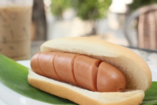 Rychlé občerstvení hot dog — Stock fotografie