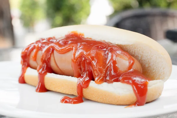 Fast food hot dog with ketchup