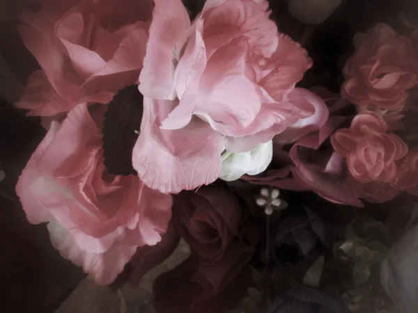 Vintage roses. — Stock Photo, Image