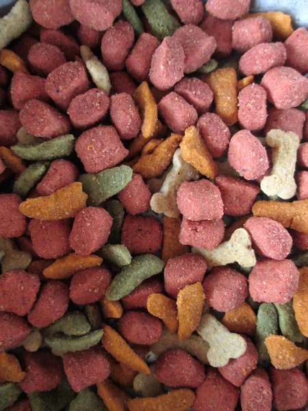 Dry food for dog and cat — Stock Photo, Image