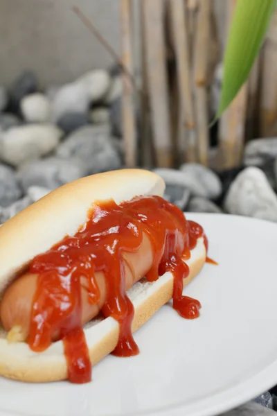 Rychlé občerstvení hot dog s kečupem — Stock fotografie