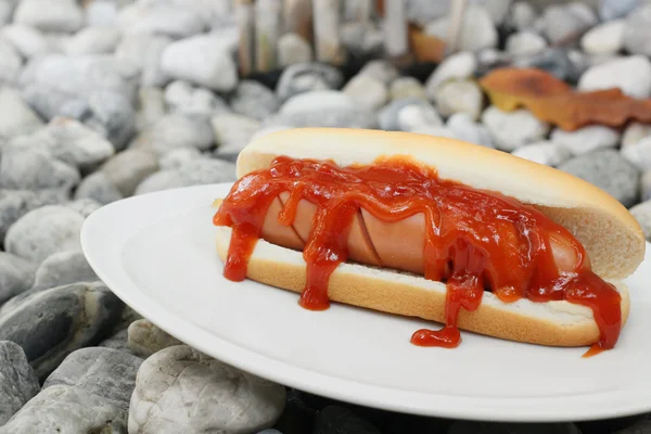 Rychlé občerstvení hot dog s kečupem — Stock fotografie