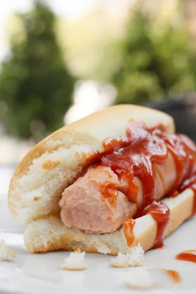 Rychlé občerstvení hot dog s kečupem — Stock fotografie