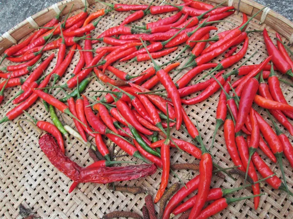 Pimentos de pimentão — Fotografia de Stock