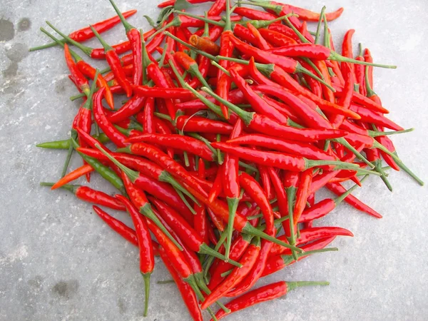 Chili peppers — Stock Photo, Image