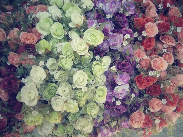 Roses Vintage. — Photo