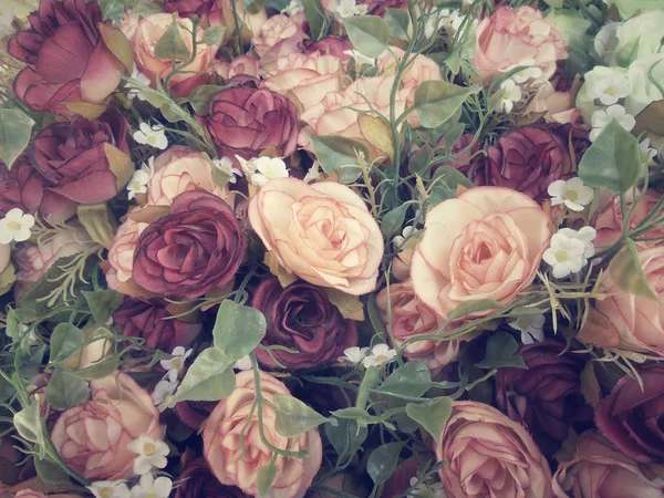 Roses Vintage. — Photo