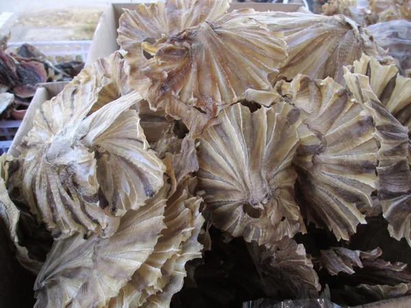 Dried fish — Stock Photo, Image