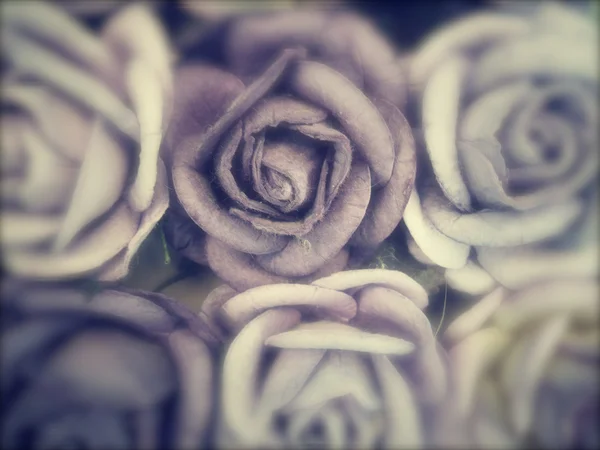 Flou de roses vintage . — Photo