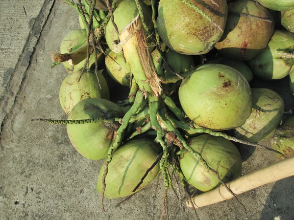 Coconut water drink — Stock Photo, Image