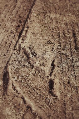 Topraktaki tekerlek izleri.