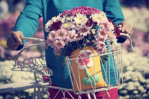 Chrysanthemum flowers with bike — Stock Photo, Image