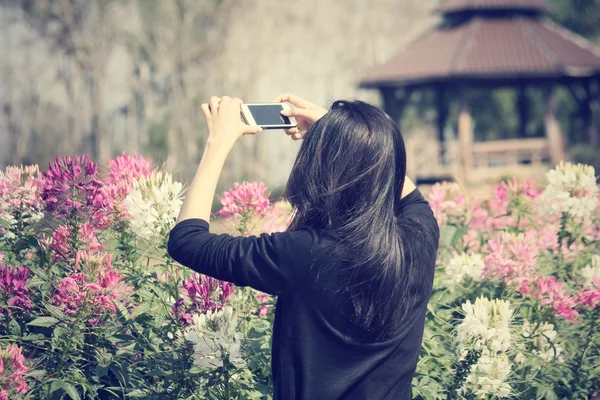 Kvinnan tar ett foto med smart telefon — Stockfoto