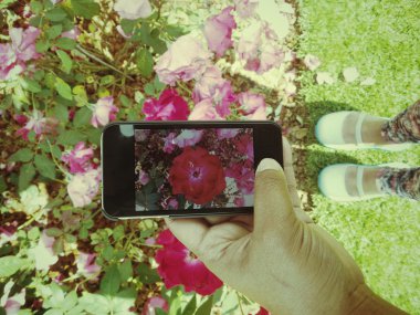 Kadını kabul bir fotoğraf ile akıllı telefon