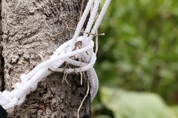 Plastik halat bir bohça — Stok fotoğraf