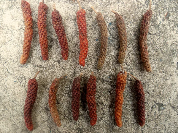 Indian long pepper — Stock Photo, Image