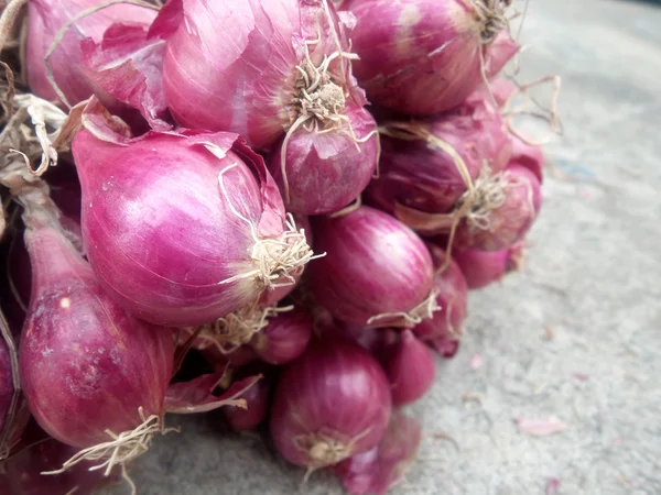 Chalota - cebolla roja de asia —  Fotos de Stock