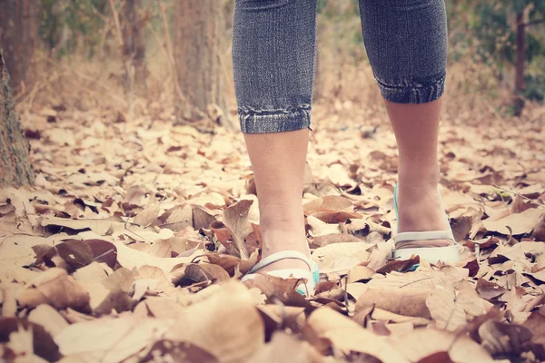 Frau läuft mit Schuhen auf Herbstblättern — Stockfoto