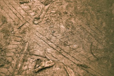 Topraktaki tekerlek izleri.