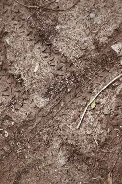 Topraktaki tekerlek izleri.