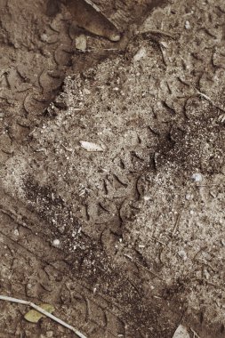 Topraktaki tekerlek izleri.