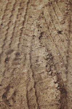 Topraktaki tekerlek izleri.