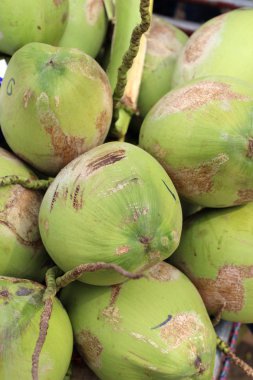 Hindistan cevizi suyu içecek