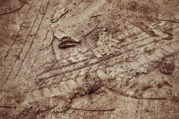 Radspuren auf dem Boden. — Stockfoto