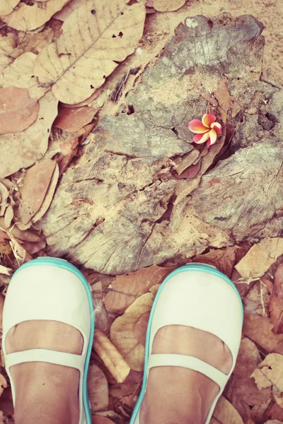 Mulher andando com sapatos nas folhas de outono — Fotografia de Stock