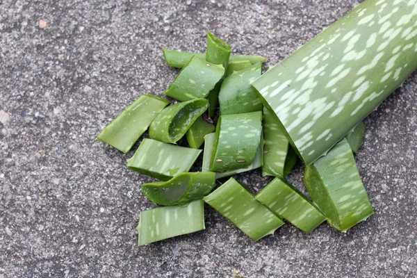 Aloe vera. — Stock Photo, Image