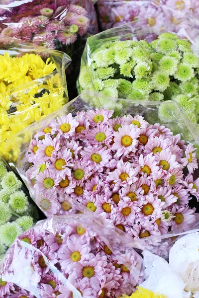 Ramo de flores de crisantemos — Foto de Stock