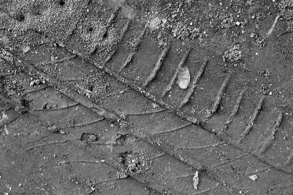 Wheel tracks on the soil. — Stock Photo, Image