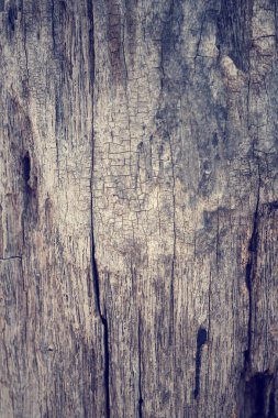 antika ahşap arka plan