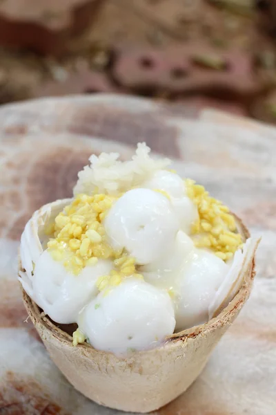 Crème glacée noix de coco — Photo