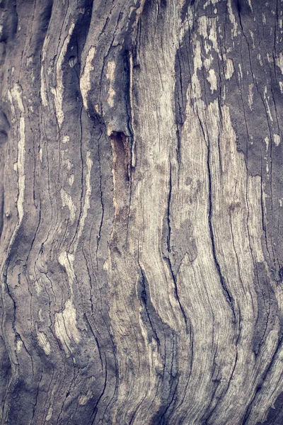 Vintage trä bakgrund — Stockfoto
