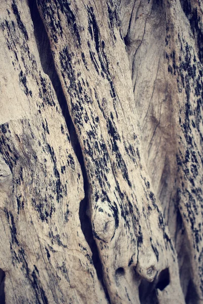 Vintage Holz Hintergrund — Stockfoto