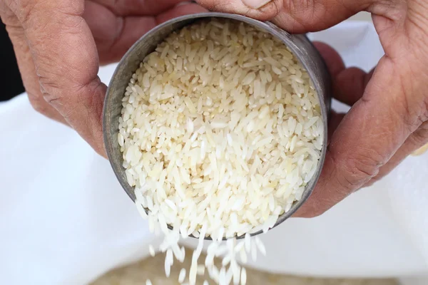 Raw rice grain with hands — Stock Photo, Image