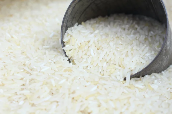 Raw rice grain