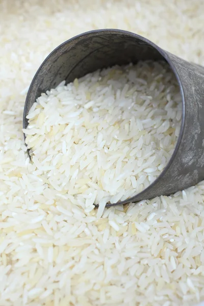 Raw rice grain — Stock Photo, Image