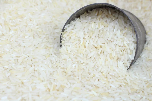 Raw rice grain — Stock Photo, Image