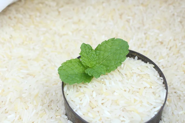 Raw rice grain with mint leaf — Stock Photo, Image